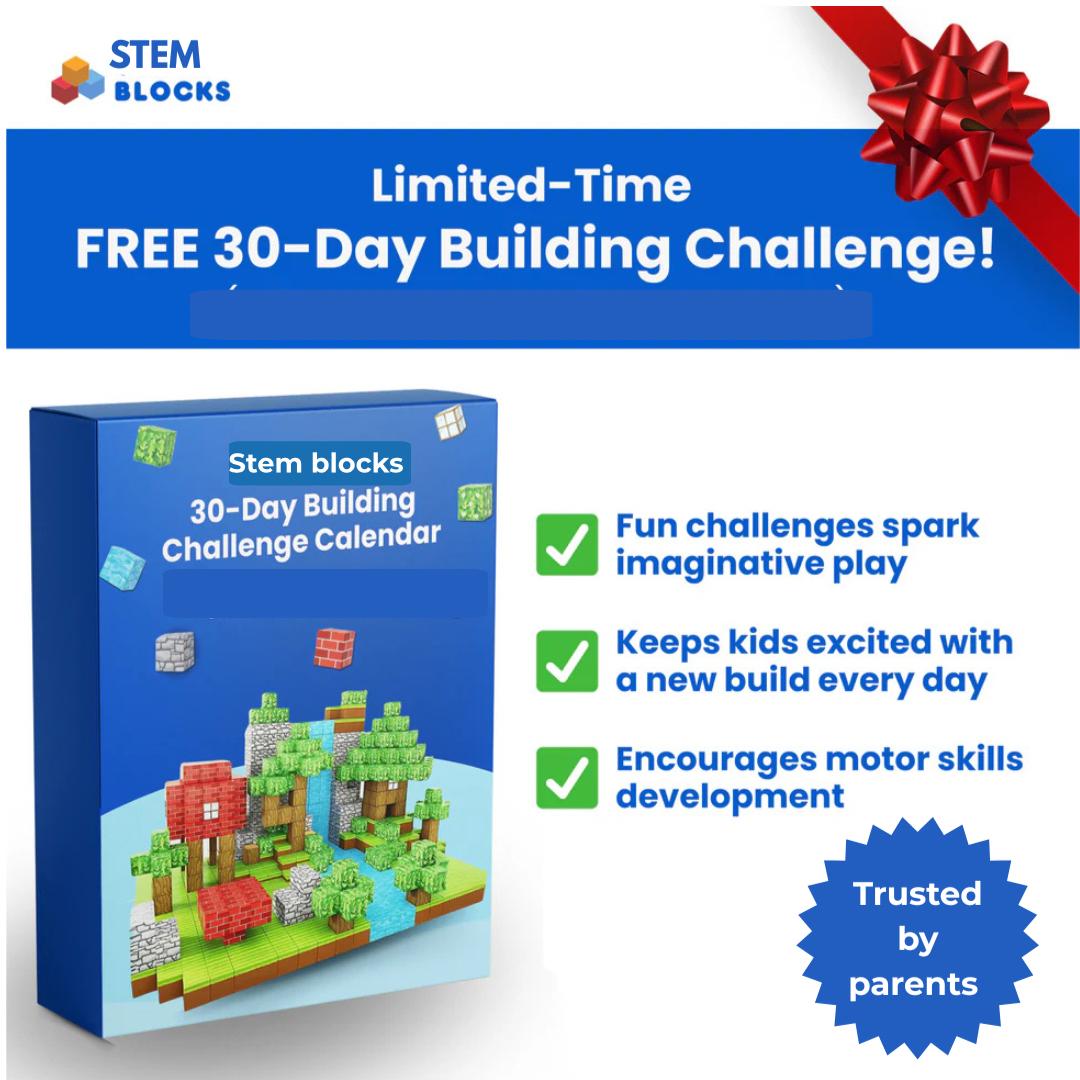 STEM™ Learning Magnetic Blocks